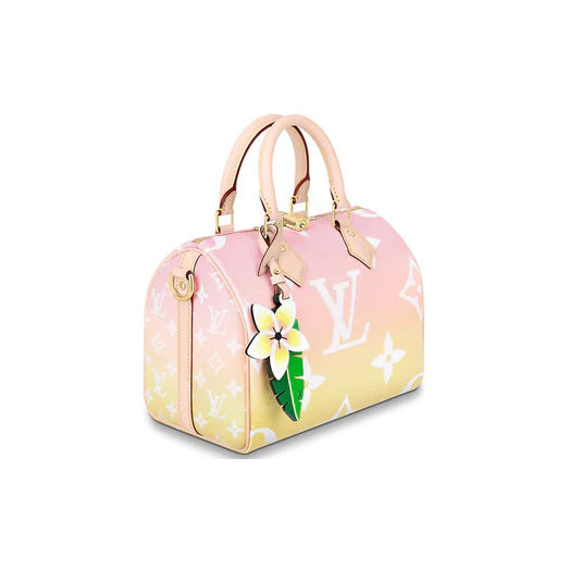 Louis Vuitton Speedy Bandouliere Bag Gradient Pastel