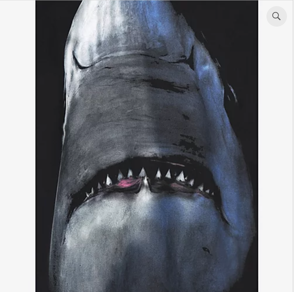Givenchy Shark Printed T-Shirt