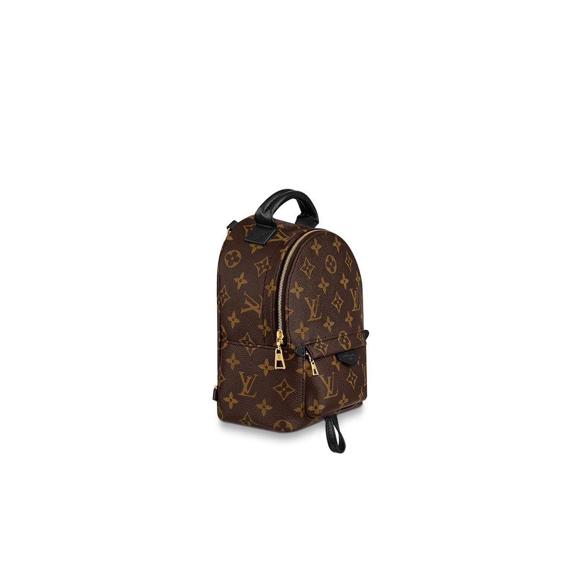 Louis Vuitton Palm Spring Mini Backpack
