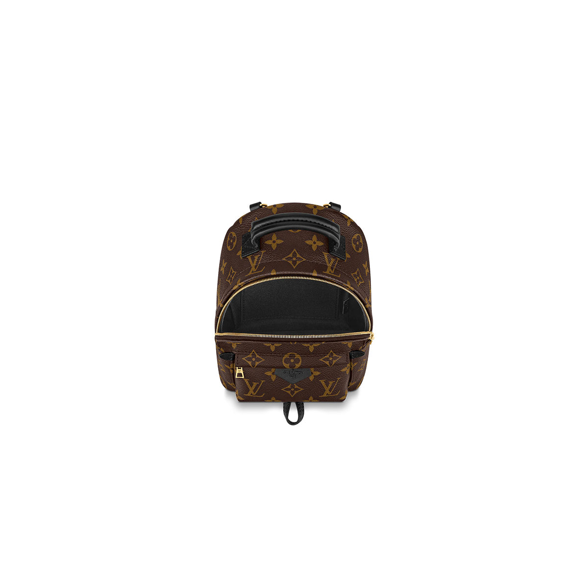 Louis Vuitton Palm Spring Mini Backpack
