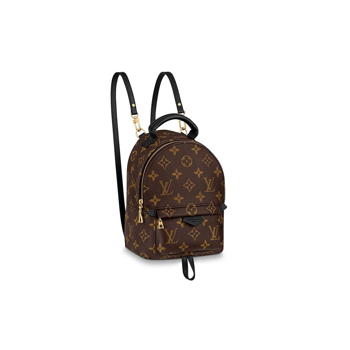 Louis Vuitton Palm Spring Mini Backpack